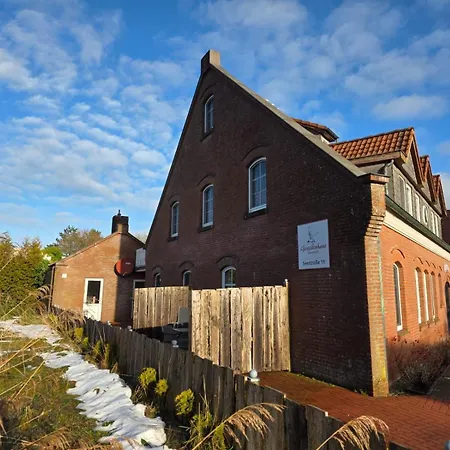 Gezeitenhaus - Austernfischer